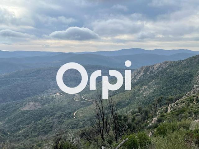 Terrain vente à Arrondissement de Draguignan, La Garde-freinet