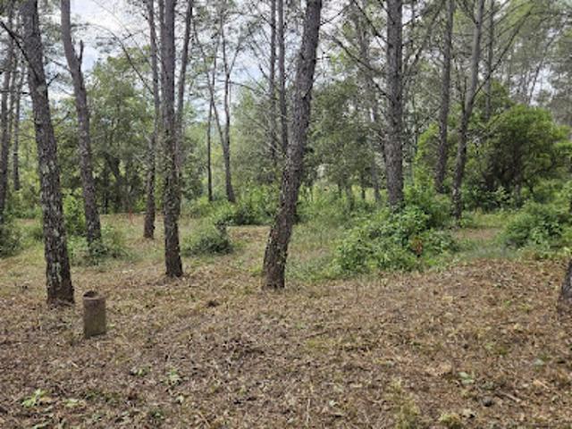 Terrain vente à Arrondissement de Draguignan, Bagnols-en-forêt
