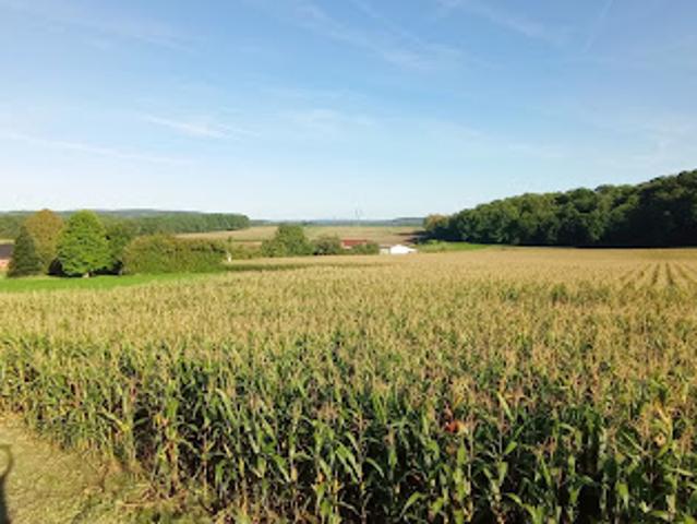 Terrain vente à Compiègne, Dives