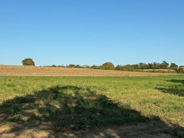 Terrain vente à France métropolitaine, Lamontjoie