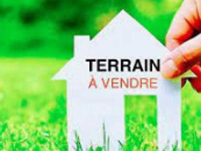 Terrain vente à Les Sables-d'Olonne, Saint-georges-de-pointindoux