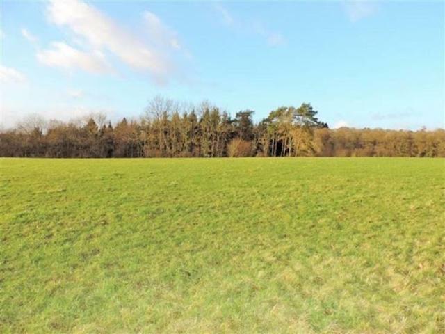 Terrain vente à France métropolitaine, Gémozac