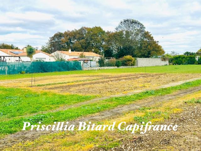 Terrain vente à Fief de l'Ormeau, Forges