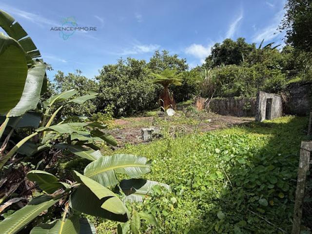 Terrain vente à La Réunion