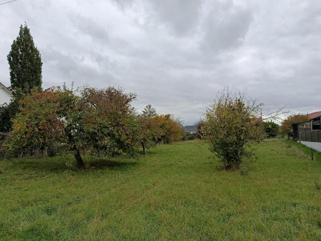 Terrain vente à Sarrebourg-Château-Salins, Dieuze