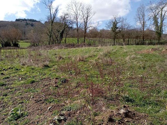 Terrain vente à Vichy, Ferrières-sur-sichon