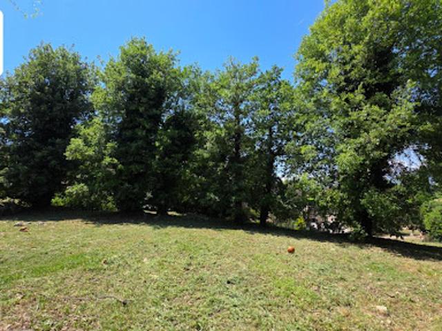 Terrain vente à Saint-Cézaire-sur-Siagne, Alpes-Maritimes