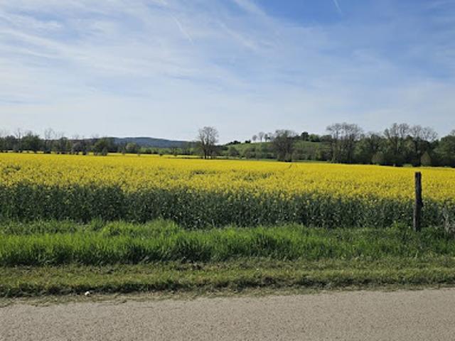 Terrain vente à Lons-le-Saunier, Chapois