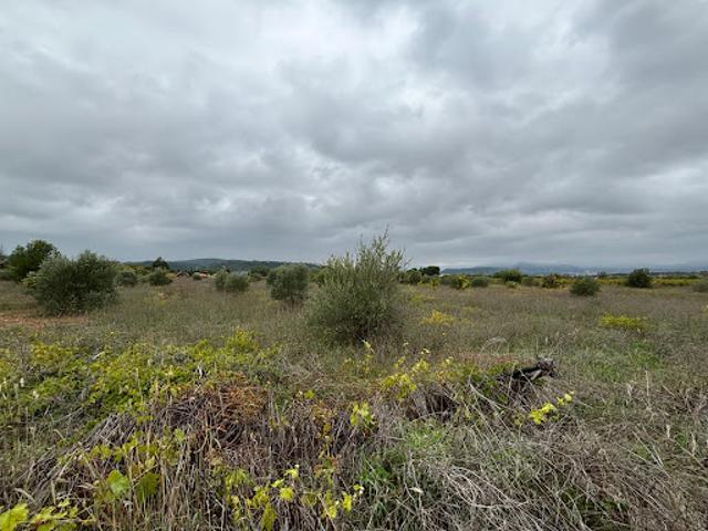 Terrain vente à Lodève, Clermont-l'hérault