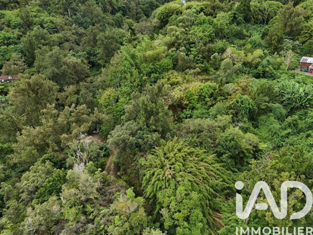 Terrain vente à La Réunion