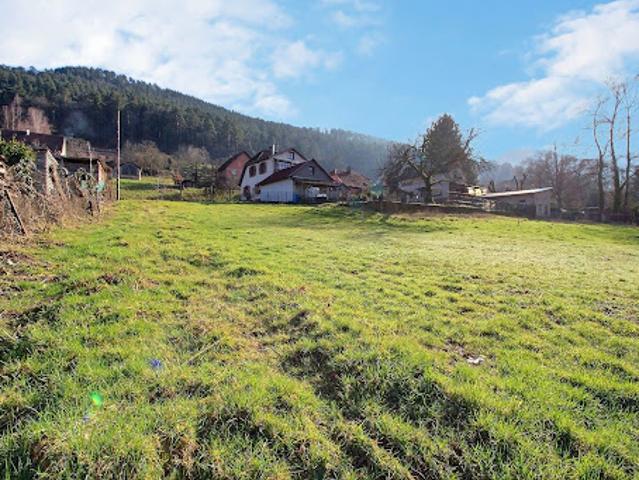 Terrain vente à Sélestat-Erstein, Bassemberg