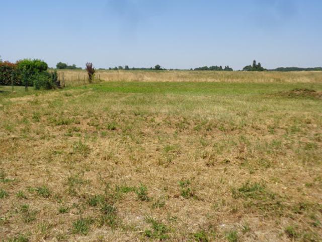 Terrain vente à Jonzac, Plassac
