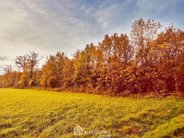 Terrain vente à Poitiers, Celle-lévescault
