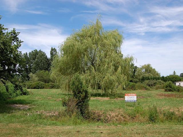 Terrain vente à France métropolitaine, Etauliers