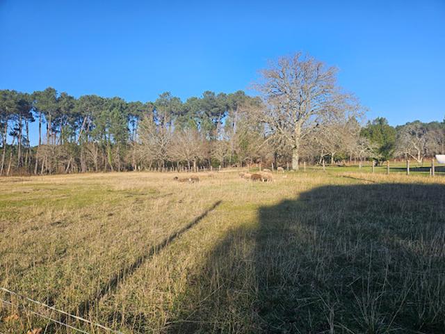 Terrain vente à Arcachon, Mios