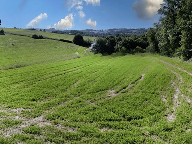 Terrain vente à Albi, Mailhoc