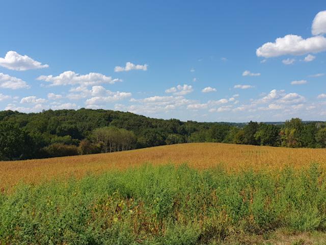Terrain vente à Monplaisir, Virazeil