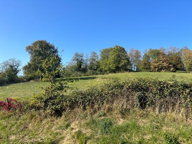 Terrain vente à Vichy, Vendat