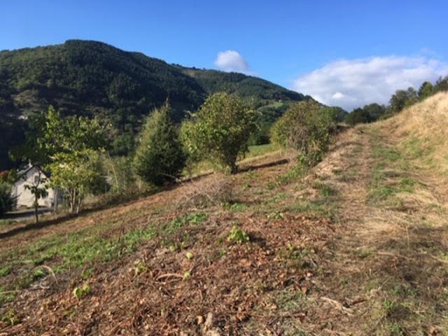 Terrain vente à Rodez, Entraygues-sur-truyère