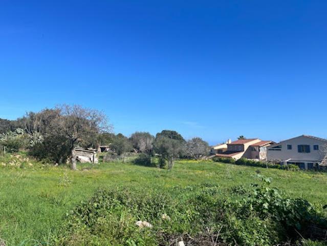 Terrain vente à Calvi, Santa-reparata-di-balagna