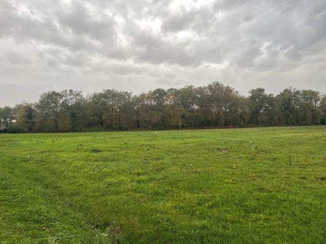 Terrain vente à France métropolitaine, Teuillac