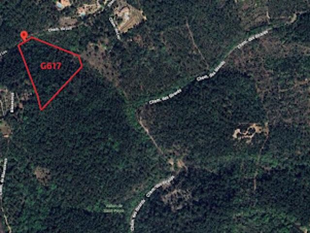 Terrain vente à Arrondissement de Draguignan, Lorgues