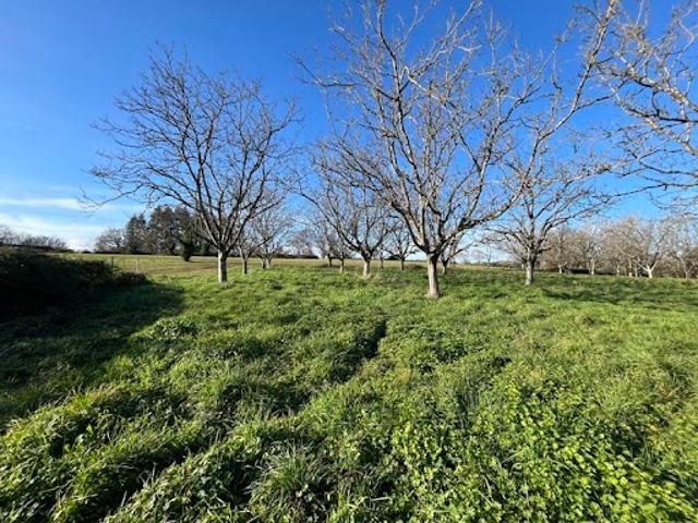 Terrain vente à Brive-la-Gaillarde, Liourdres