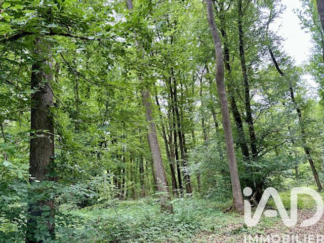 Terrain vente à Saint-Amand-Montrond, Charenton-du-cher