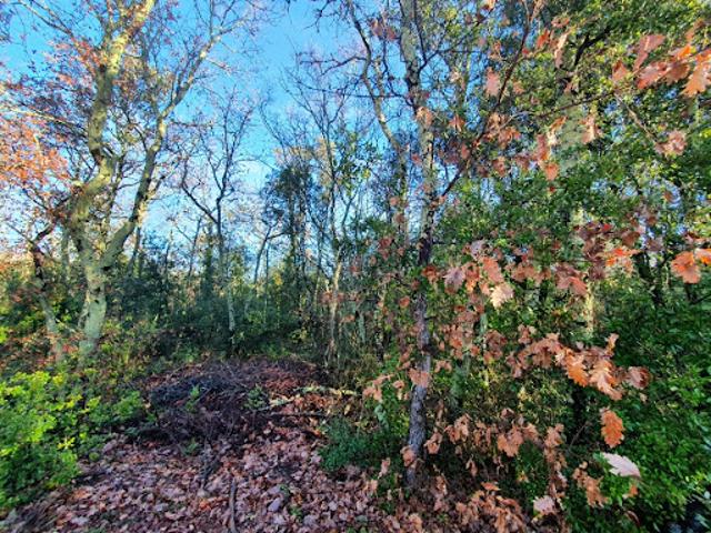 Terrain vente à Largentière, Labastide-de-virac