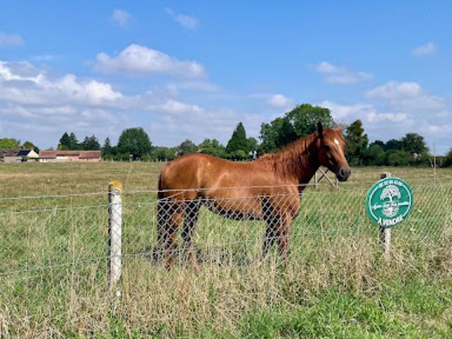 Terrain vente à Évreux, La Croisille