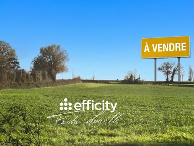 Terrain vente à Fontenay-le-Comte, Saint-martin-des-fontaines