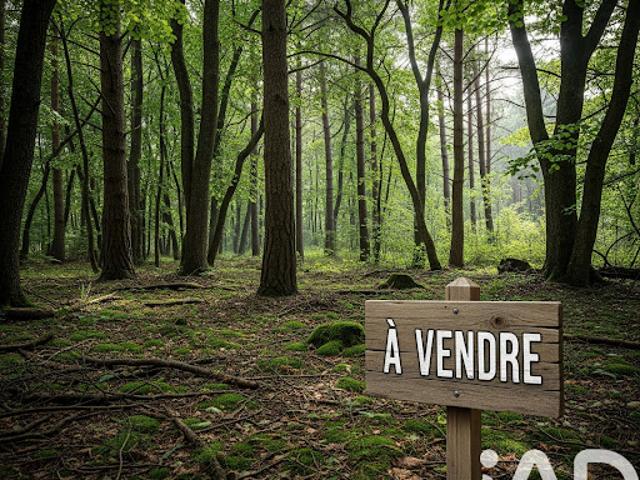 Terrain vente à Lesparre-Médoc, Arsac