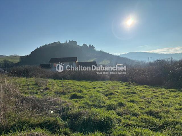 Terrain vente à Roanne, Saint-victor-sur-rhins
