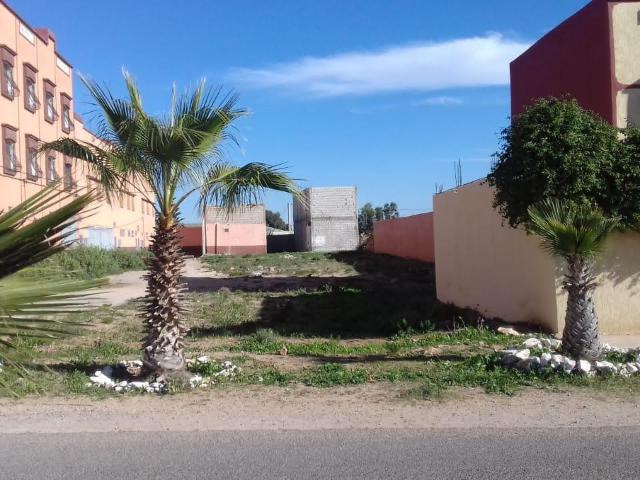 Terrain vente à Sidi Bidi, Oued ed Dahab-Lagouira