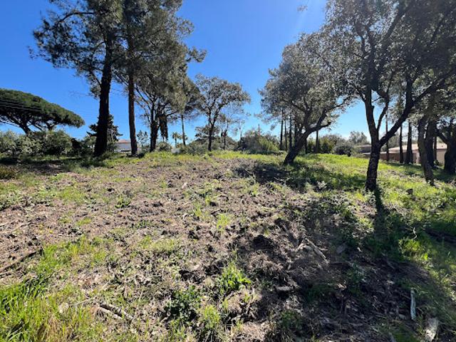 Terrain vente à Arrondissement de Draguignan, Grimaud