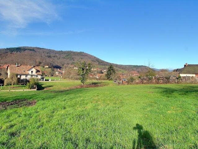 Terrain vente à Sélestat-Erstein, Bassemberg
