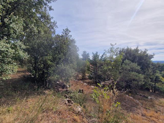 Terrain vente à Lorgues, Var
