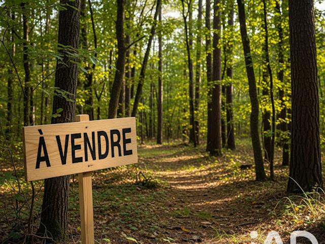 Terrain vente à Lesparre-Médoc, Arsac