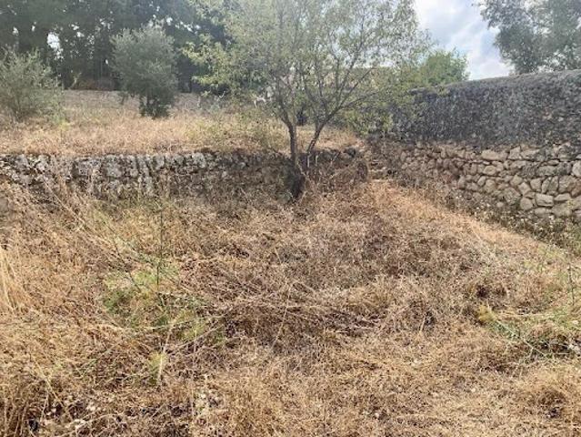 Terrain vente à France métropolitaine, Allauch