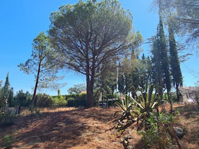 Terrain vente à Céret, Montesquieu-des-albères