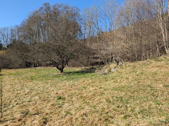 Terrain vente à Épinal, La Bresse
