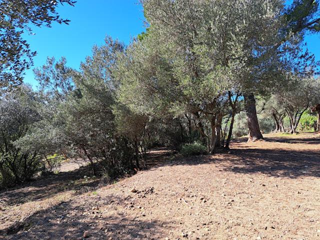 Terrain vente à Arrondissement de Draguignan, Fayence
