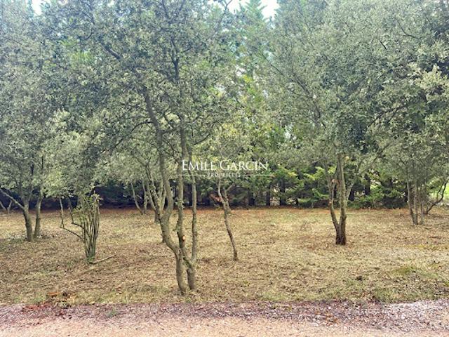 Terrain vente à Carpentras, Bédoin