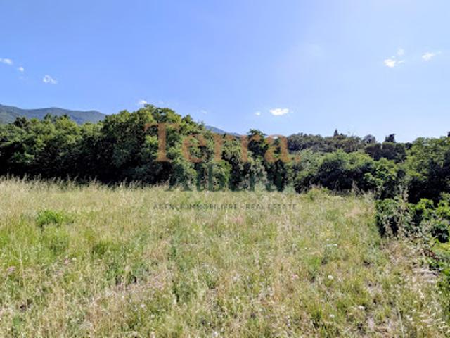 Terrain vente à Céret, Villelongue-dels-monts