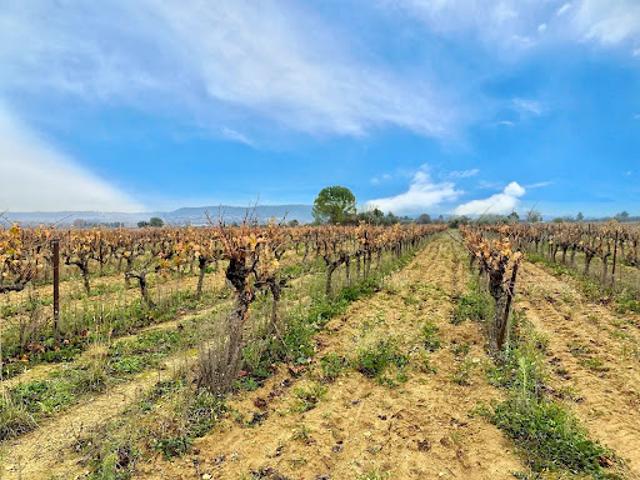Terrain vente à Nîmes, Saint-côme-et-maruéjols
