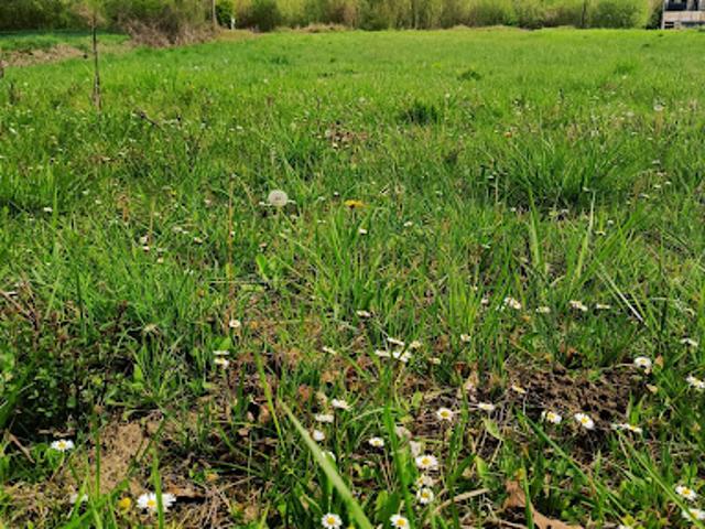 Terrain vente à Soissons, Vuillery