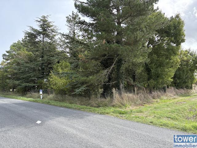 Terrain vente à France métropolitaine, Semussac