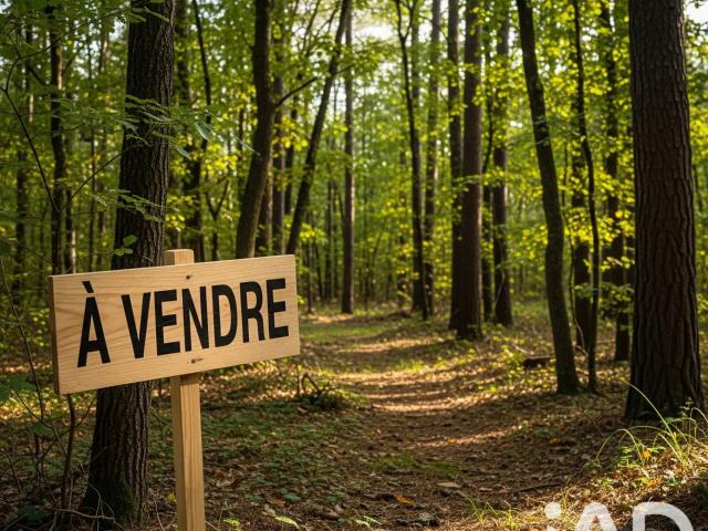 Terrain vente à Lesparre-Médoc, Arsac