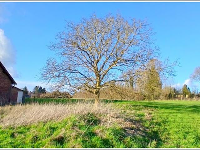 Terrain vente à Arras, Bienvillers-au-bois