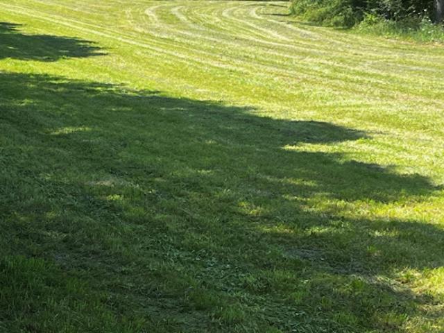 Terrain vente à France métropolitaine, Champagnolles